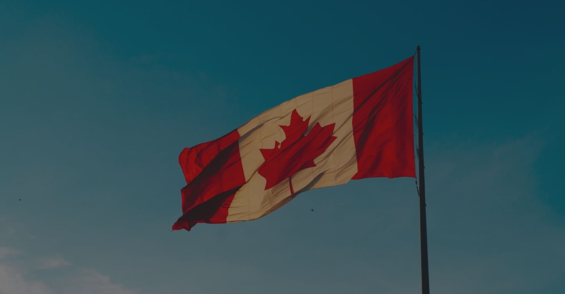 Canada's Flag